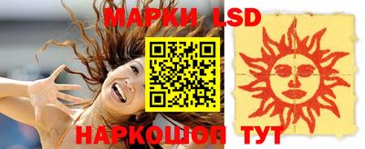 Альфа ПВП Малгобек