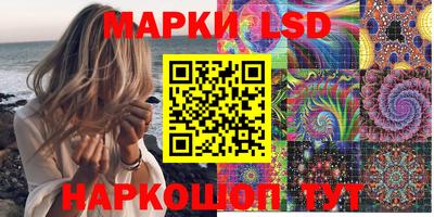 Альфа ПВП Малгобек