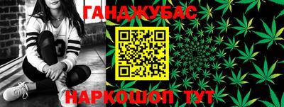Альфа ПВП Малгобек