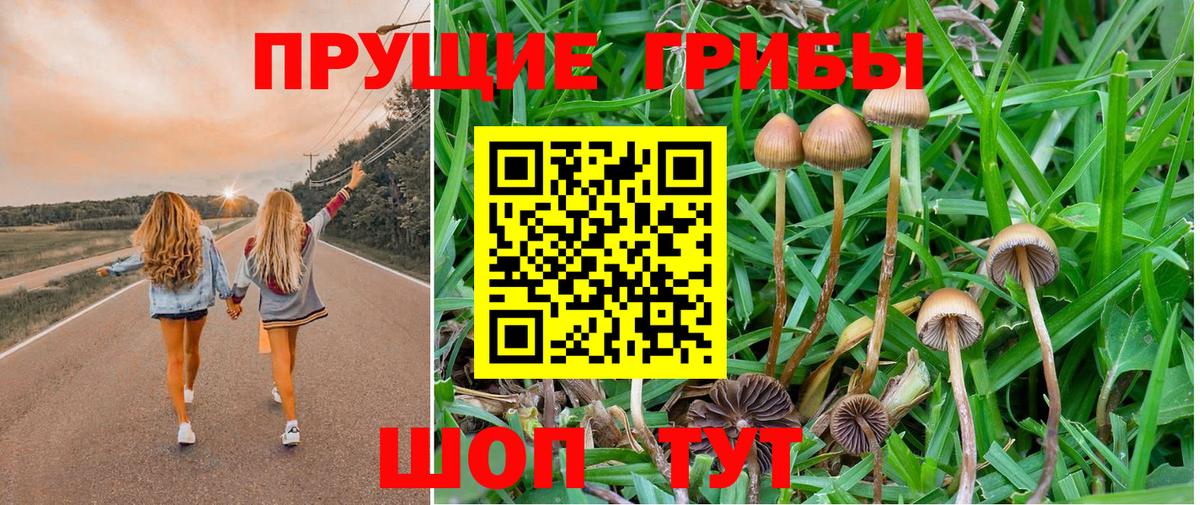 Псилоцибиновые грибы мицелий  Псилоцибиновые грибы ЛСД  Вход с VPN  Шали 